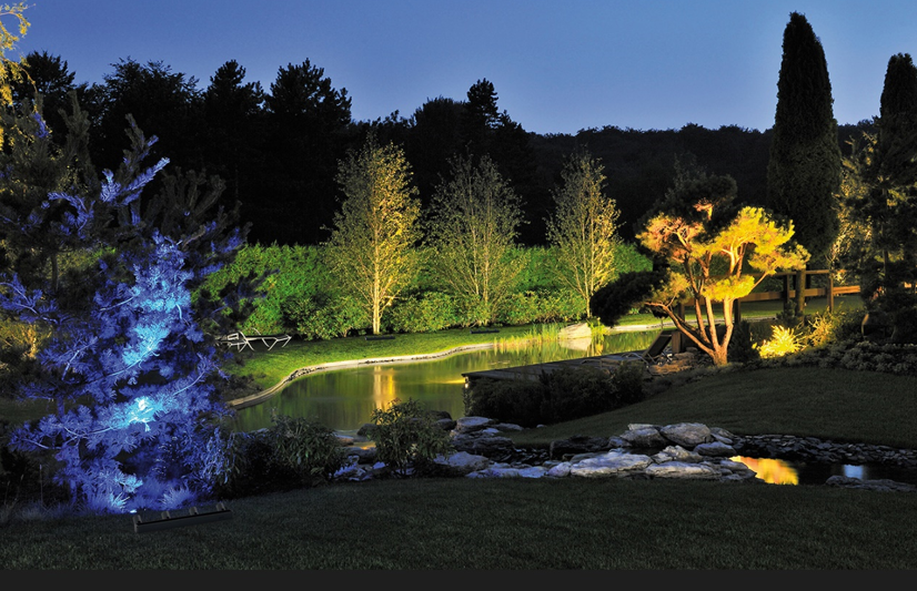 Best Solar Spotlights for Trees
