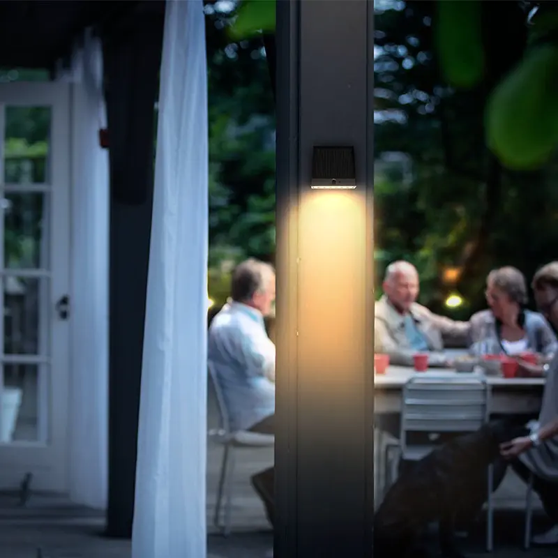 229156186230153175-2-1